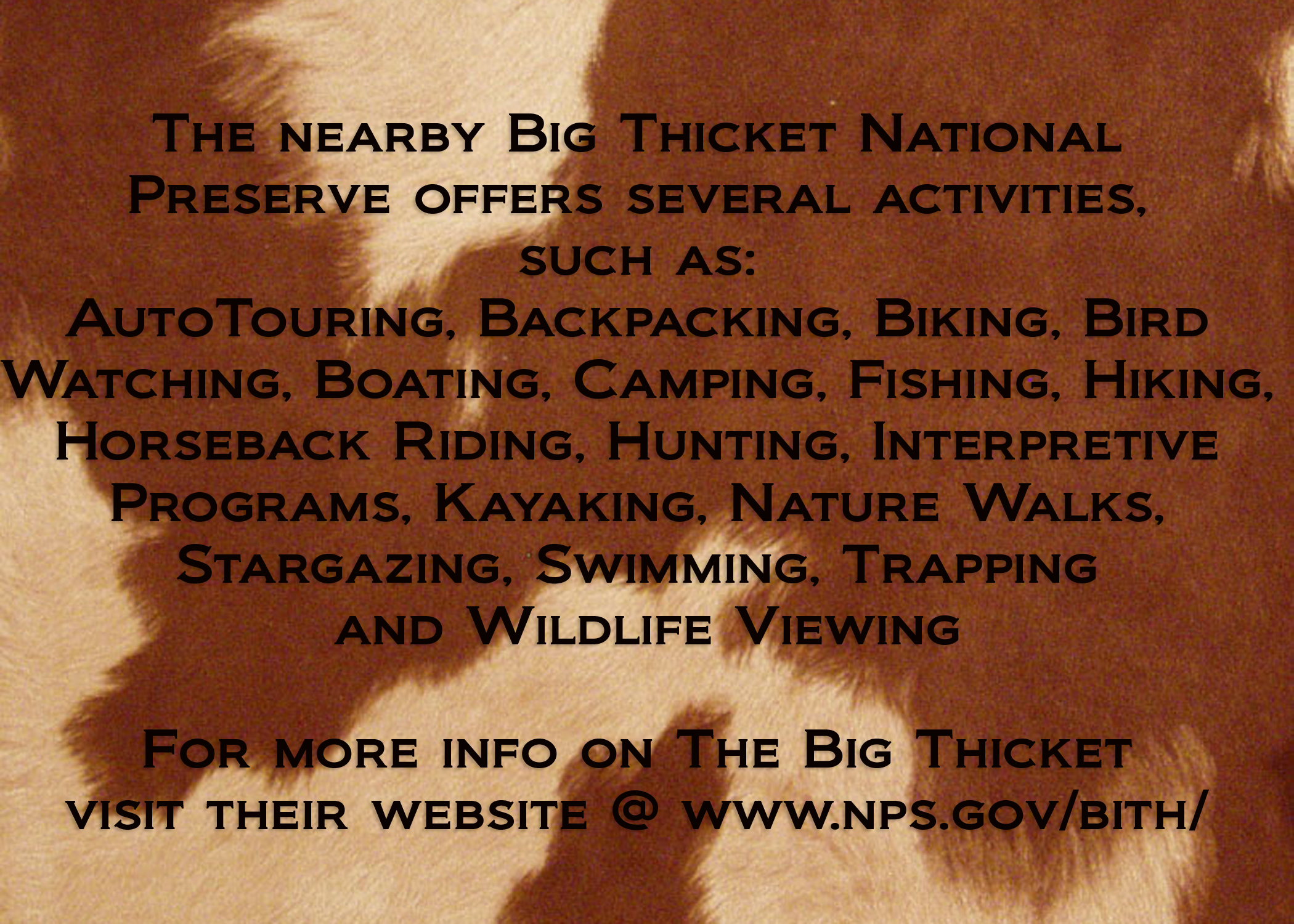 activities